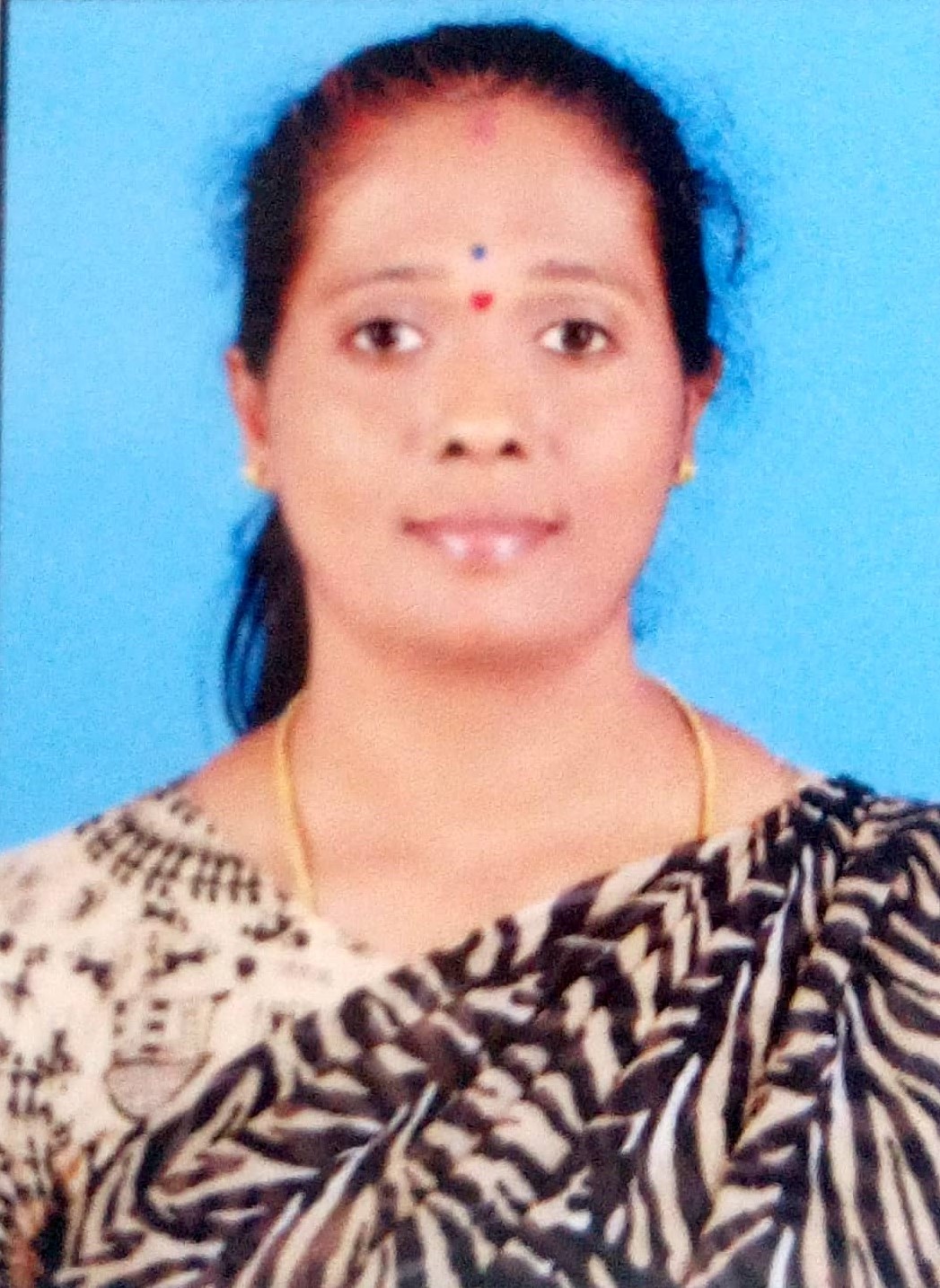 Shobha K V